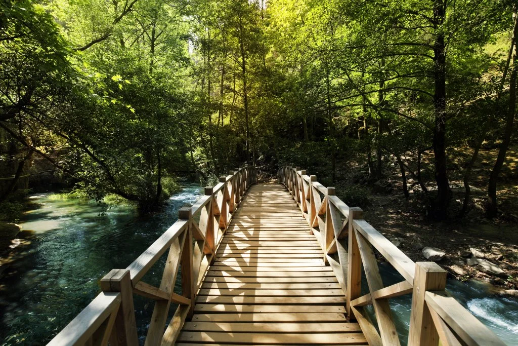 Full Mouth Dental Packages in Turkey: Affordable Luxury Dental Tourism in Bursa